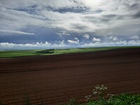 Dag 14   Ingezaaide akkers met dreigende wolken.