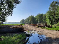 Ergens onderweg met prachtige blauwe lucht.