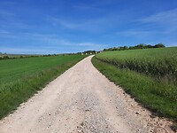 Dag 21. En nog een hete lange weg, heel erg spannend allemaal.