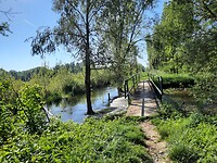 Het bruggetje waar ik de dikke waterrat zag zwemmen.
