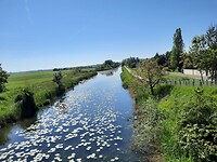 Kanaal iets verderop.