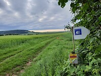 Dag 24,   Donkere wolken komen op me af.