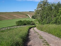 Dag 27    Omhoog en omlaag door de wijnvelden.