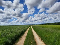 Prachtige wolkenhemel.