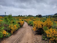 Mooi wandelen, prachtige kleuren.