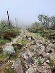 Rotsklimmen in de mist