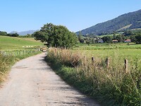 Hoe mooi kan een wandelweg zijn.