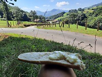 Een lunch met wat voor een uitzicht. Fransen kan het niet, stokbrood,  camembert en de Pyreneeën.