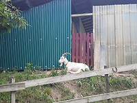 Lekker chillen.