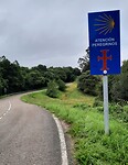 Wegverkeer opletten :  overstekende pelgrims.
