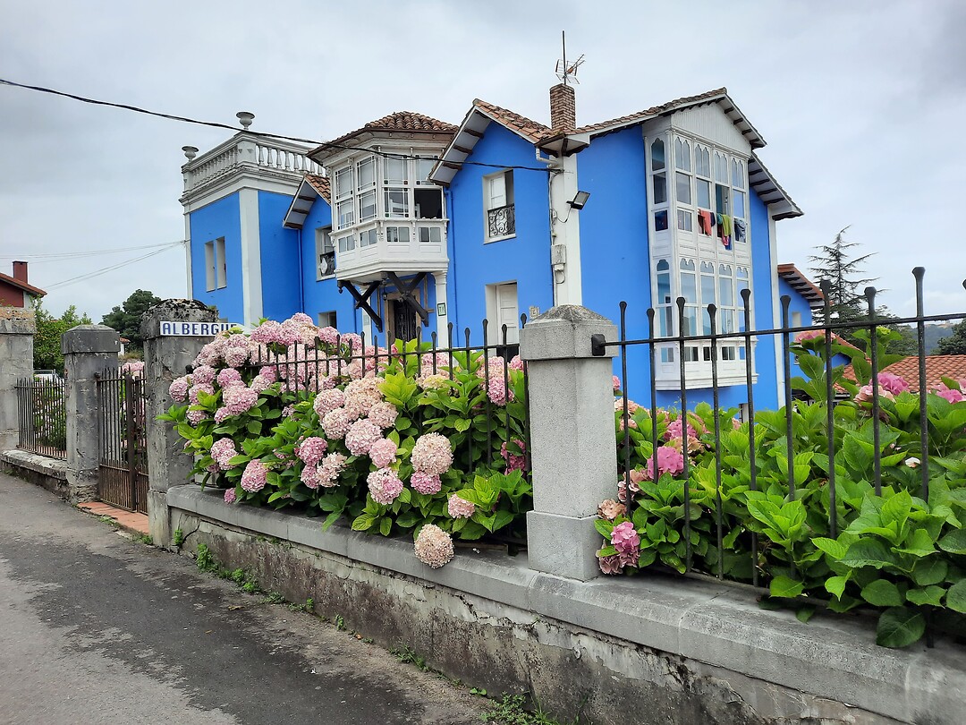 Mooi blauw is niet lelijk.