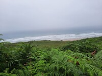 De laatste foto's van de oceaan.