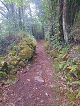 Mooie wandelpaden vandaag.
