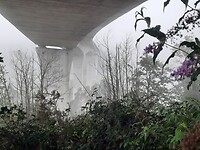 Onder een snelweg door.