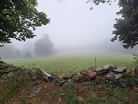 Kleine wereld vanmorgen op 700 meter hoogte.