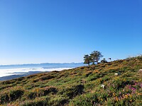 Waanzinnig mooi.