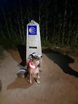 Paaltje nog 10 km met Indi.