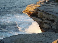 DSC00101