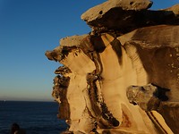 DSC00103