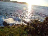 DSC00107