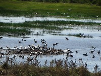 DSC00145