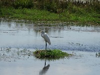 DSC00154
