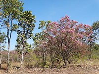 DSC00156