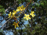 DSC00159