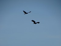 DSC00168