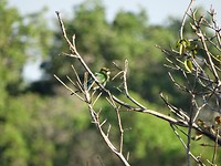DSC00171