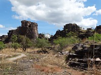 DSC00177