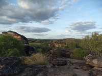 DSC00209
