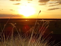 DSC00215