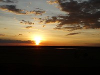 DSC00221