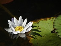 DSC00294