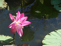 DSC00309