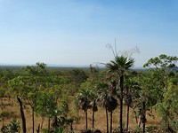 DSC00330