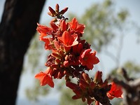 DSC00336