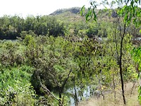 DSC00343 - kopie