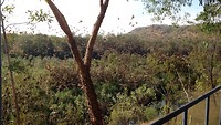 IMG_2281.MOV