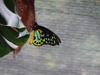 DSC00363