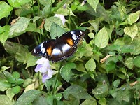 DSC00366