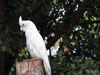 DSC00397