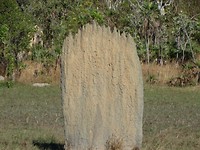 DSC00399