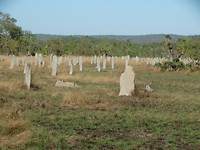 DSC00400