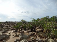 DSC00419
