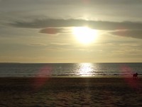 DSC00435