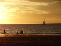DSC00440