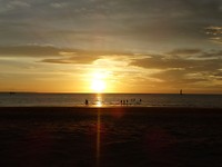 DSC00441