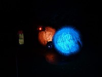 DSC09778